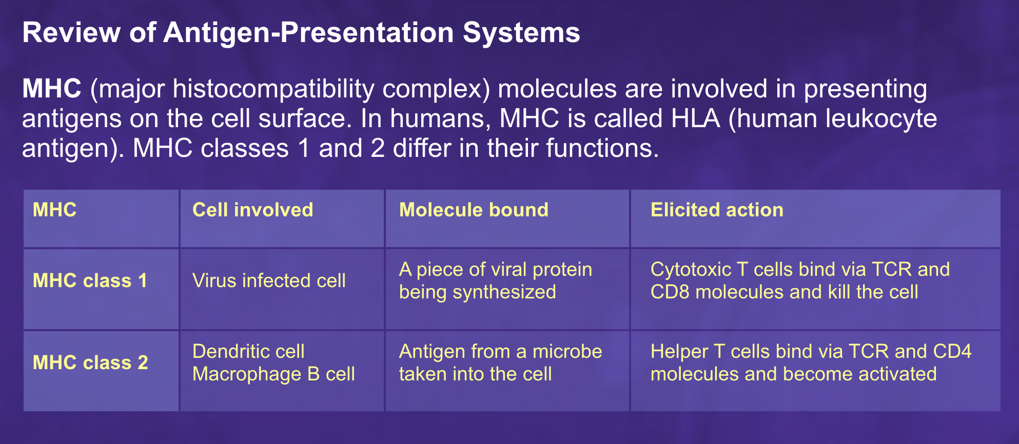 Solved Review of AntigenPresentation Systems MHC (major