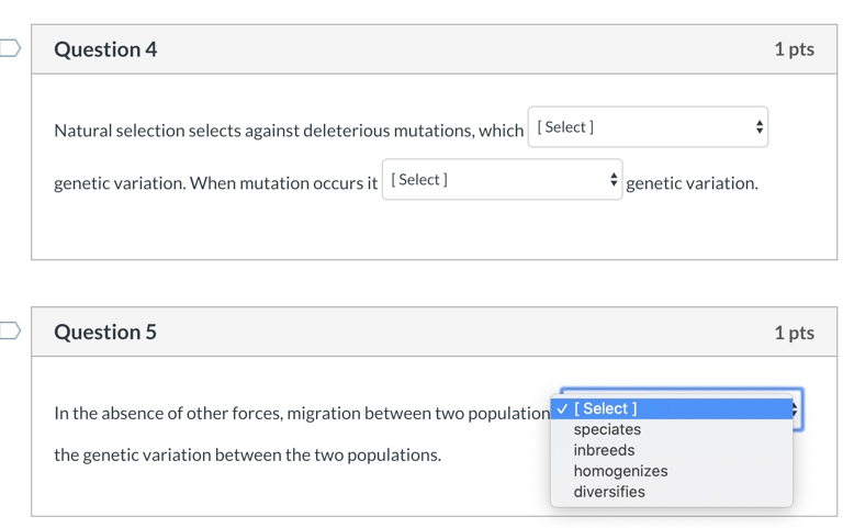 Solved I need help with four and five. The options for four | Chegg.com