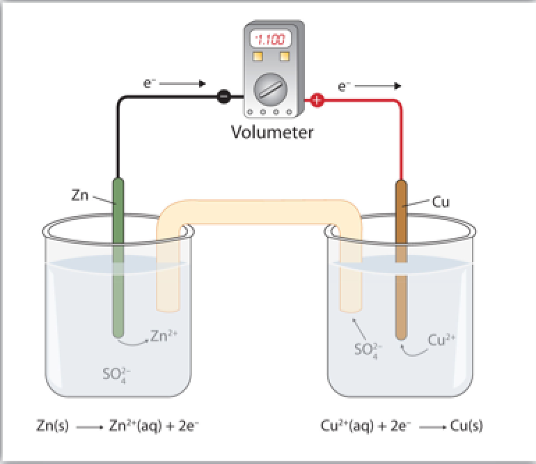 Solved 5) For this problem refer to the electrochemical cell | Chegg.com