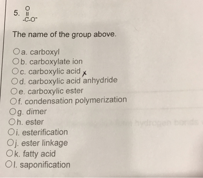 Solved The Name Of The Group Above. A. Carboxyl B. | Chegg.com