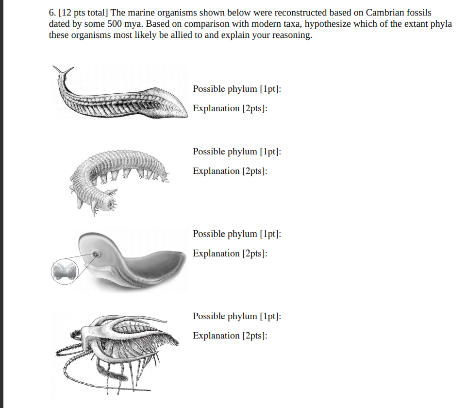 Solved 6. [12 pts total] The marine organisms shown below | Chegg.com