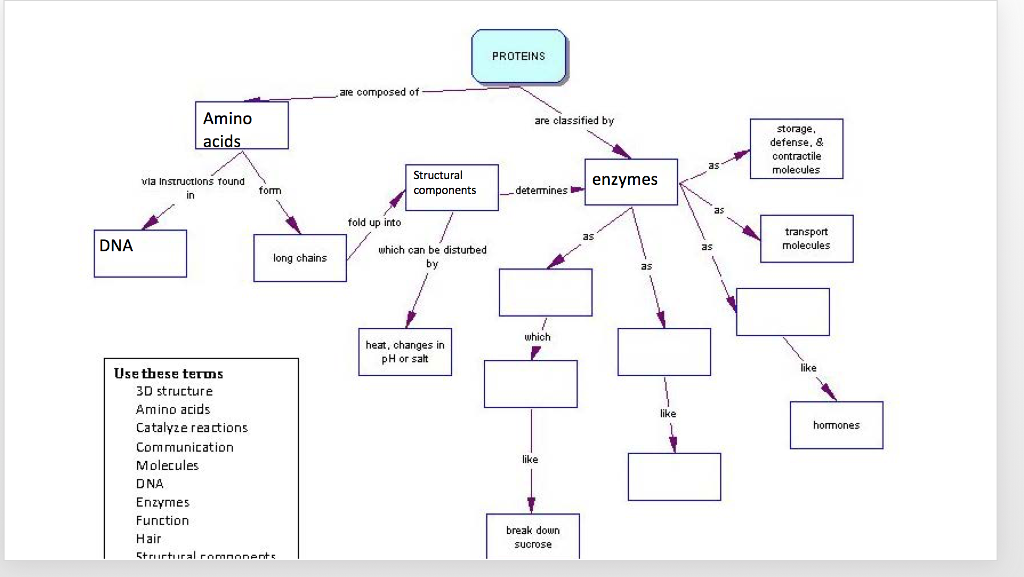 Solved PROTEINS are composed of Amino are classified by | Chegg.com