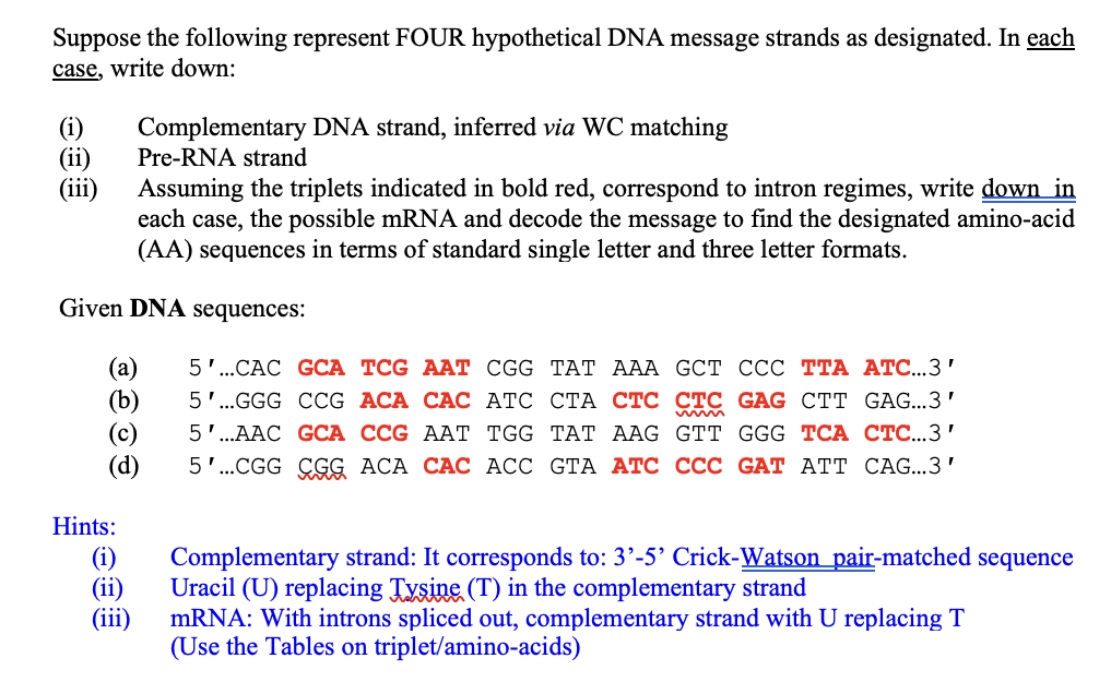 Solved Suppose the following represent FOUR hypothetical DNA | Chegg.com