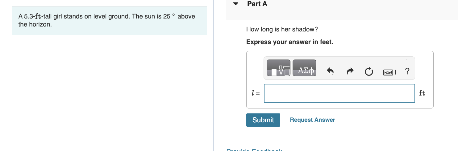 5.3 ft 2024 in cm