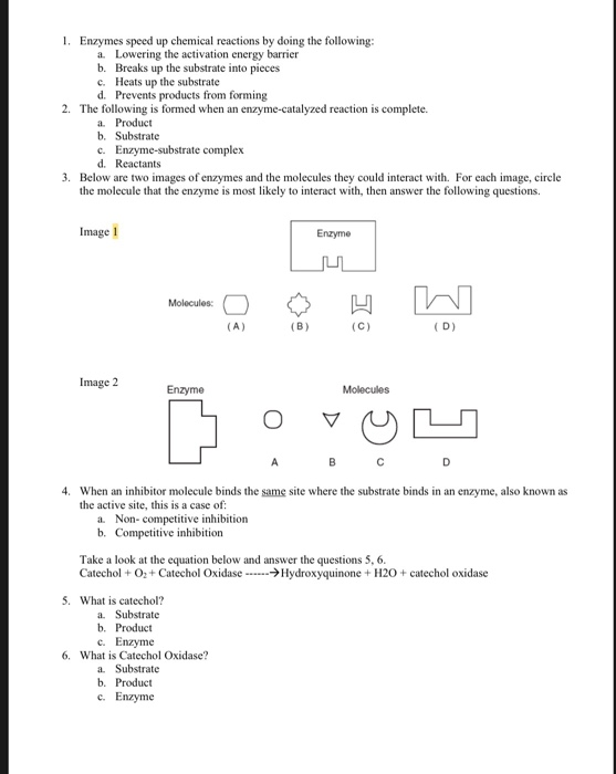 Solved 7. What is the optimum pH for enzyme activity for | Chegg.com