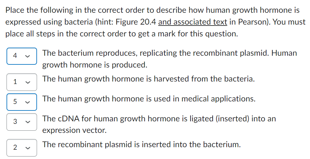 Solved Place the following in the correct order to describe | Chegg.com