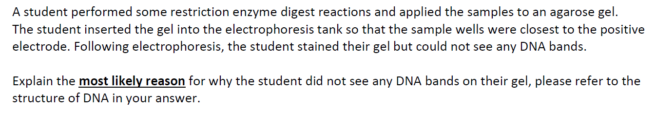Solved A student performed some restriction enzyme digest | Chegg.com