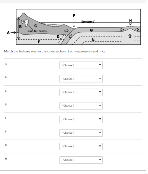 Solved Options: deep sea trench lithosphere oceanic | Chegg.com