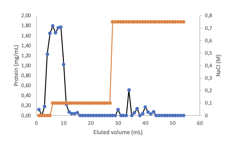 Solved in the first graph for isolation of lysozyme from hen | Chegg.com