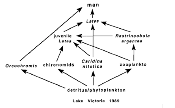 People Introduced Nile Perch Lates To Lake Victoria Chegg Com