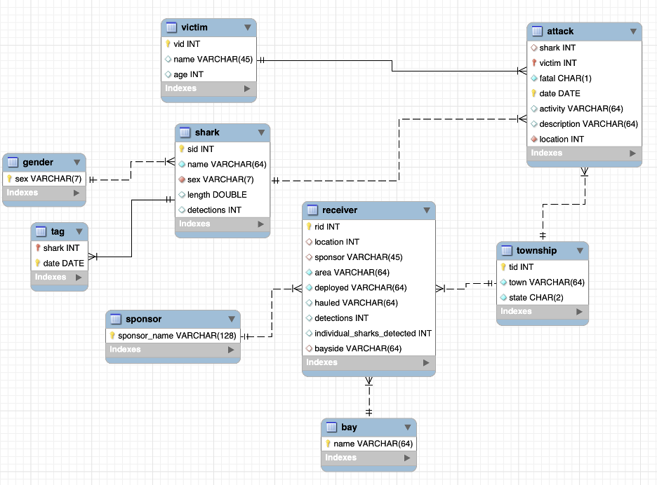 Solved The database contains nine tables: shark, tag, | Chegg.com