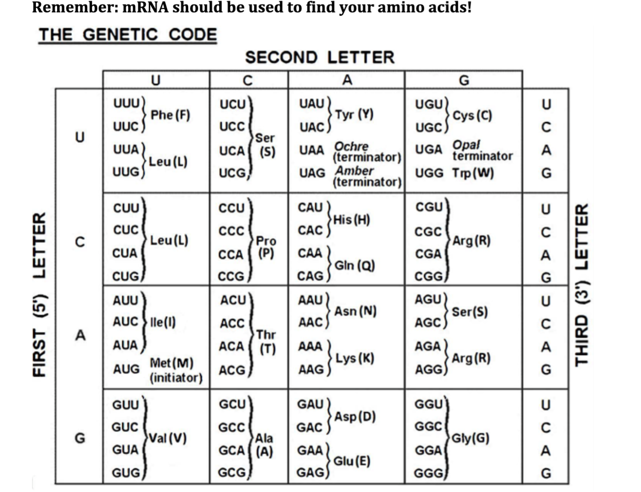 Solved The following table shows a partial DNA, mRNA, tRNA | Chegg.com