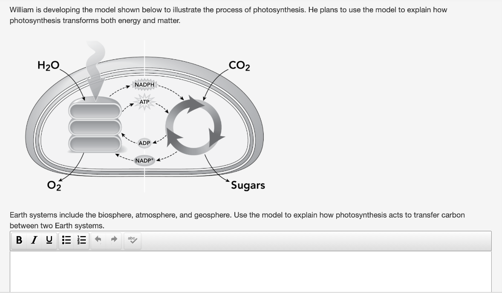 Solved William Is Developing The Model Shown Below To Chegg Com