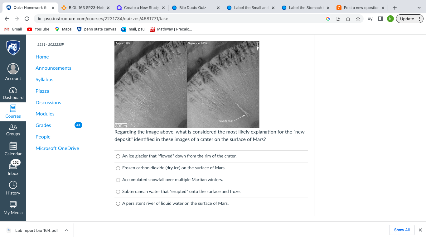 Solved Regarding the image above, what is considered the | Chegg.com