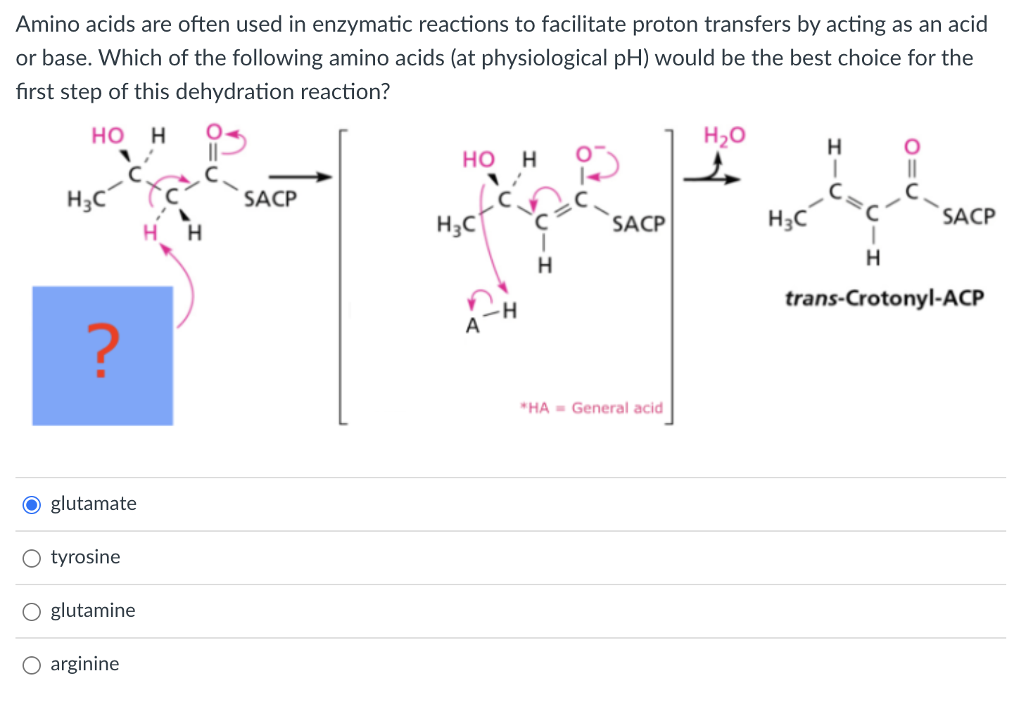 Solved Which of the following enzymes catalyzes an