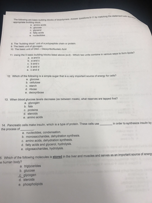 Solved The following are basic building blocks of | Chegg.com