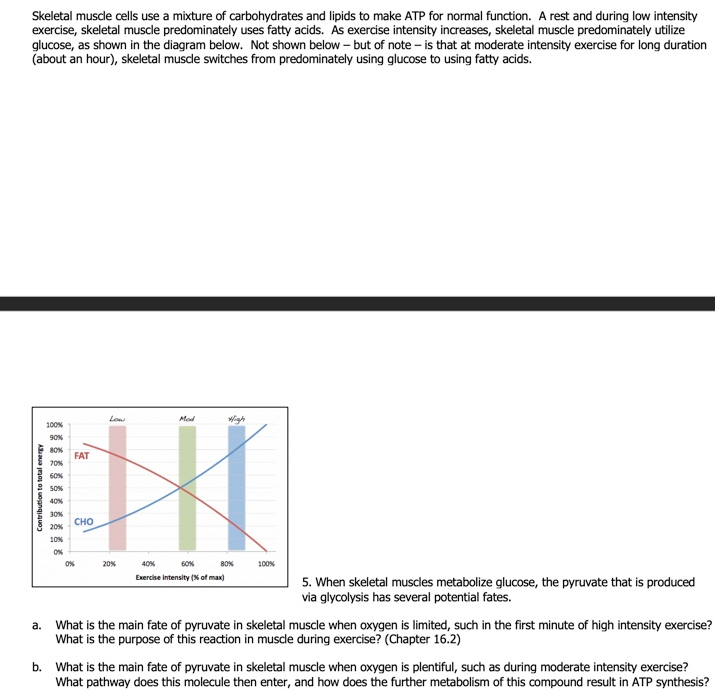 does-atp-or-adp-have-more-potential-energy-wasfa-blog