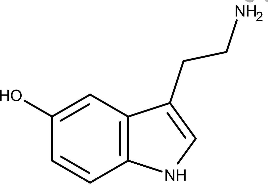 Solved NH2 HO NH | Chegg.com