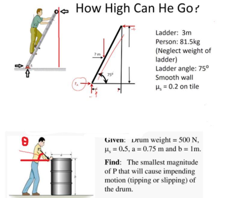 Solved ole How High Can He Go Ladder 3m Person 81.5kg Chegg