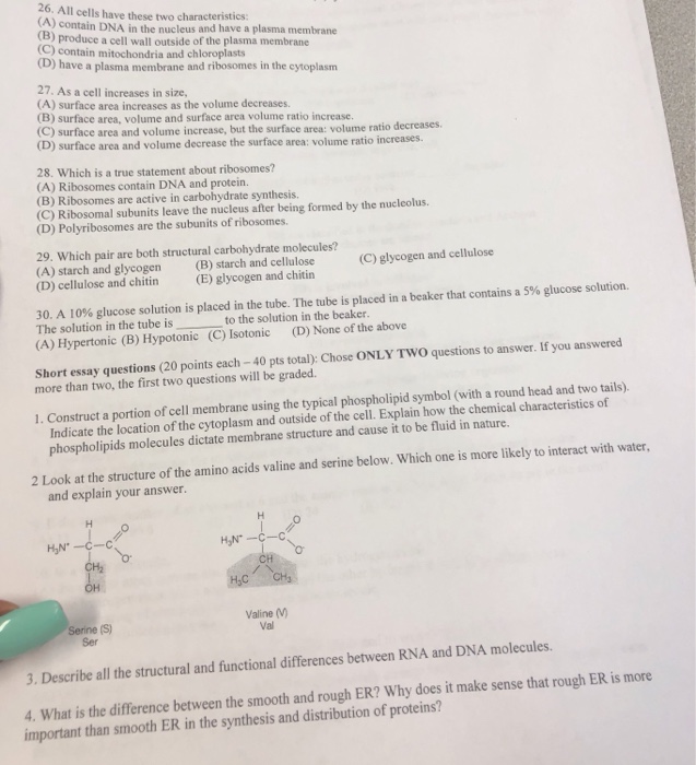 Solved 26 All Cells Have These Two Characteristics A Chegg
