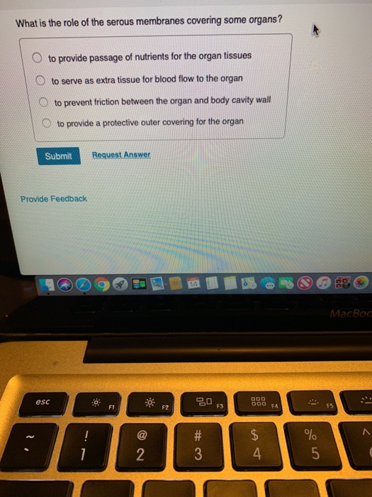 Solved What is the role of the serous membranes covering | Chegg.com