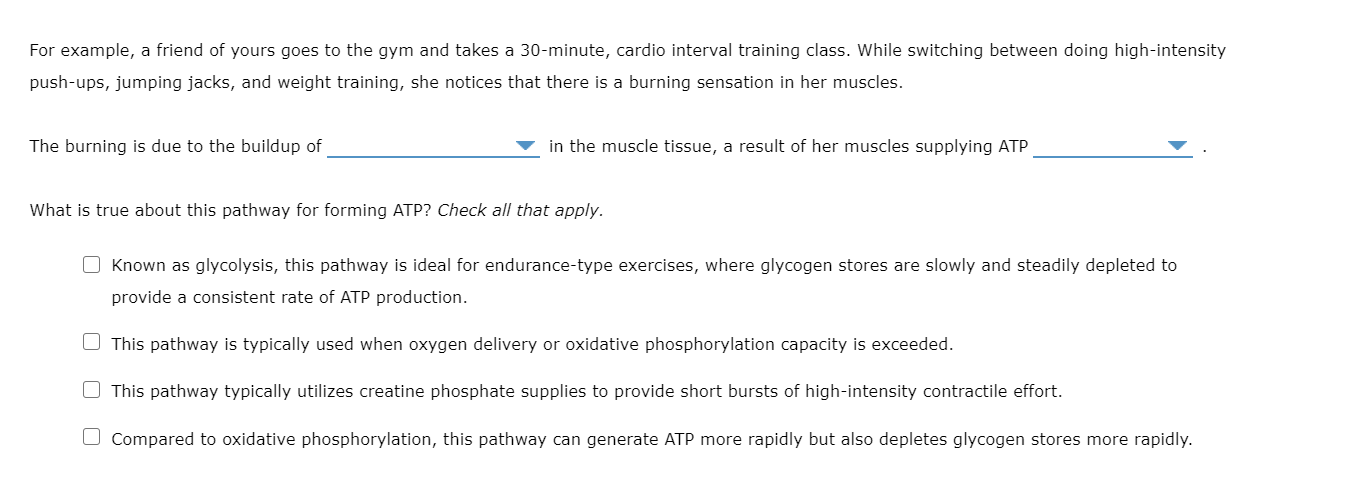 How Regular Exercise Regulates Our Body's Physiology – MBXPhys