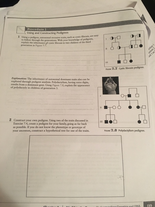 Solved Procedure 1 Using and Constructing Pedigrees 1 Using | Chegg.com