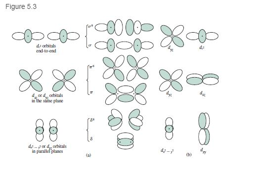 Solved Expand The List Of Orbitals Considered In Figures 5.2 | Chegg.com