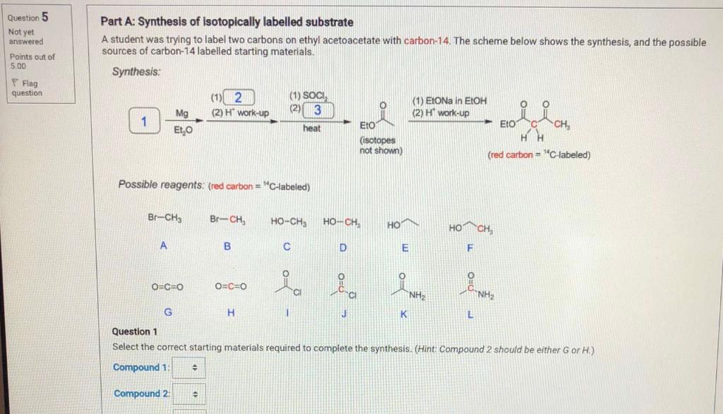 Solved A student was trying to label two carbons in ethyl | Chegg.com