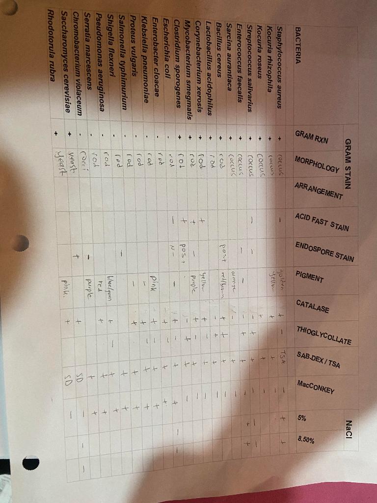 Solved Can someone please help me make a dichotomous key | Chegg.com