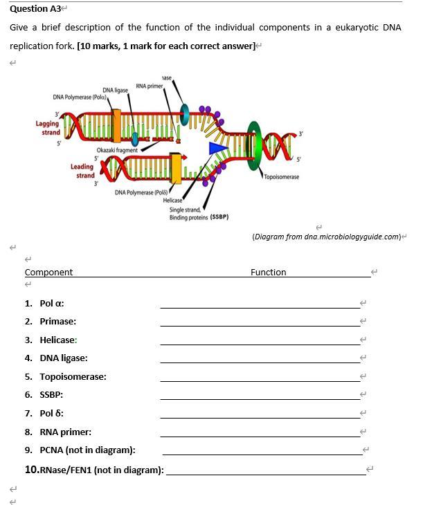 Solved Question A3 Give a brief description of the function | Chegg.com