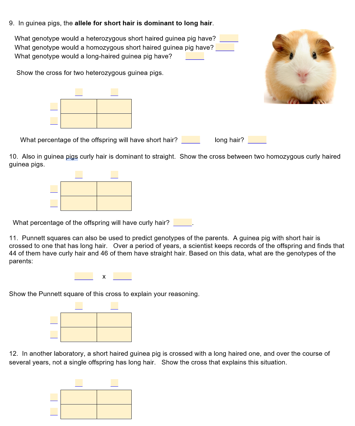 Solved Name: 5. A homozygous tall plant is crossed with a | Chegg.com