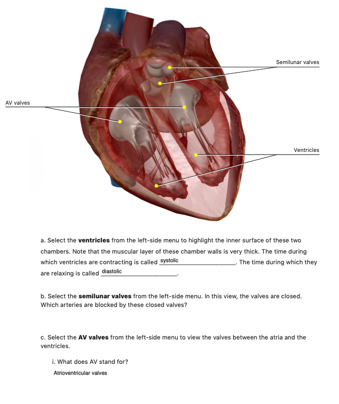 Solved Please help on question b. Select the