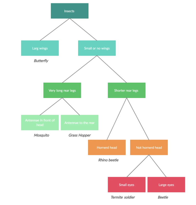 Solved create a dichotomous key to identify the insects | Chegg.com