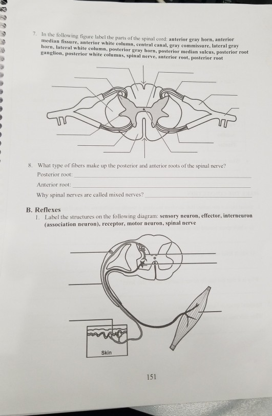 33 Label The Parts Of The Skin - Label Design Ideas 2020