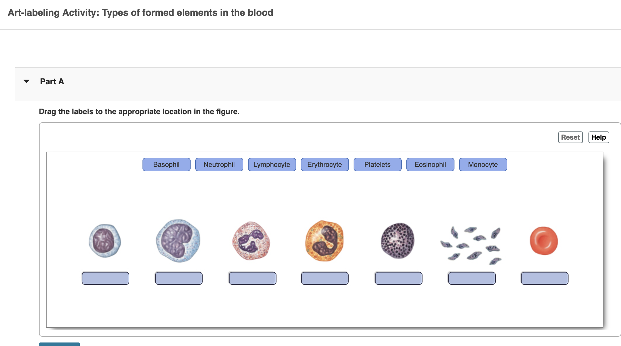 Solved Art-labeling Activity: Types of formed elements in | Chegg.com