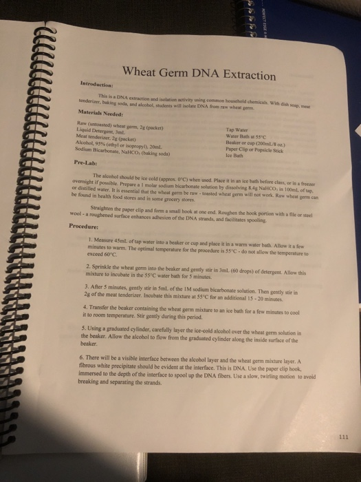 Solved 40 DNA Extraction Lab Microbiology 1 Post lab