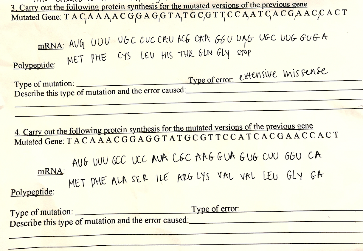 Solved I just need help with the explanations. The options | Chegg.com