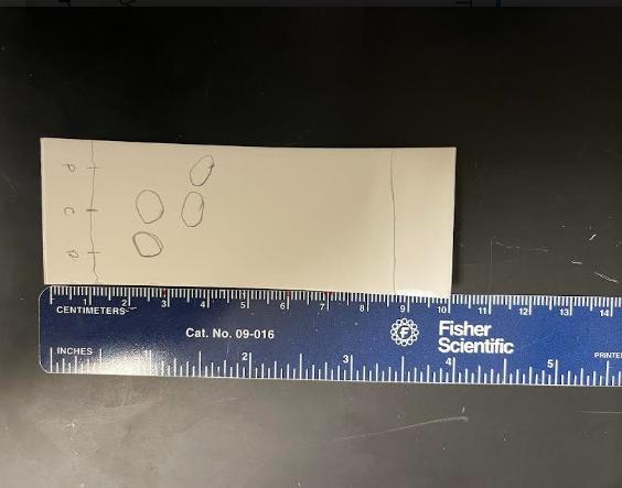 Solved Enter the distances of the solvent front. Then enter | Chegg.com