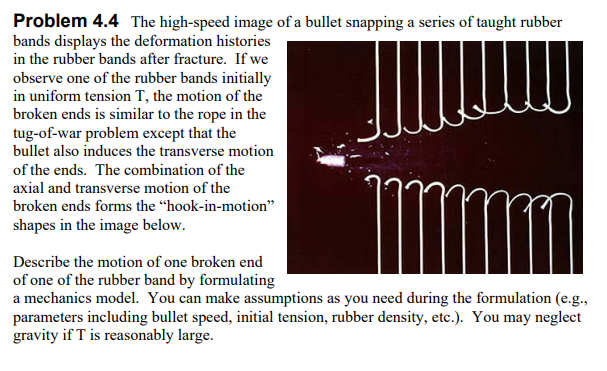 Draw an FBD for the broken end of the rubber band | Chegg.com