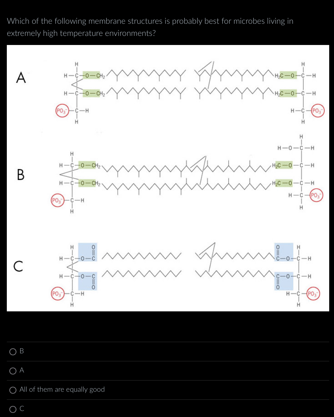 Solved Which of the following membrane structures is | Chegg.com