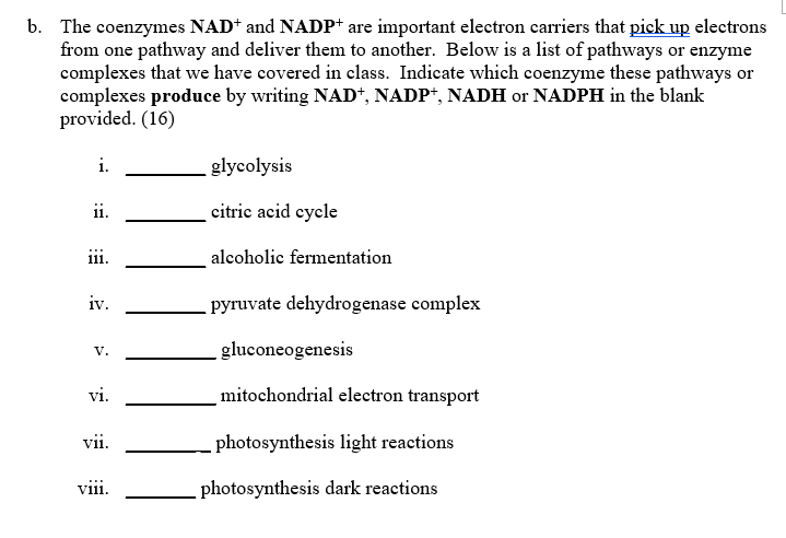 Solved b. The coenzymes NAD+ and NADP+ are important | Chegg.com