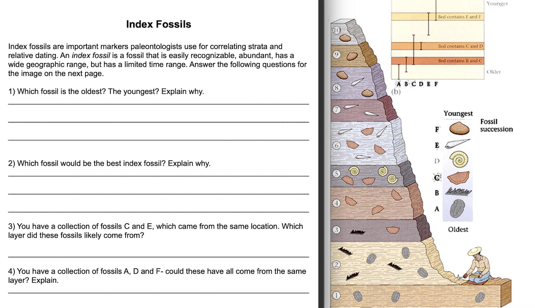 Are fossils the index best What characteristics