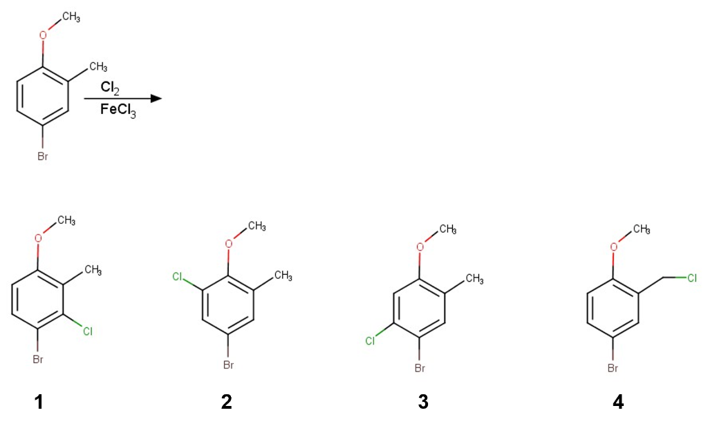 Solved Which Of The Following Is The Major Product Of The | Chegg.com