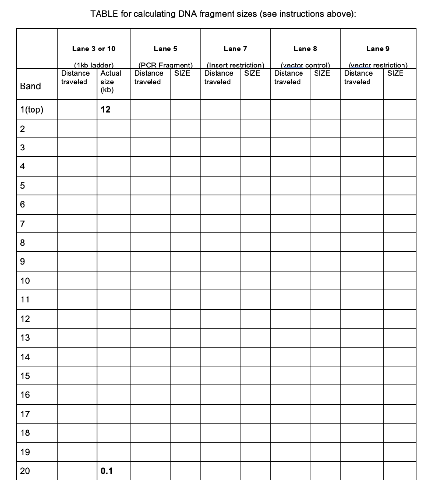 Solved Need help with filling in the chart and graph. | Chegg.com