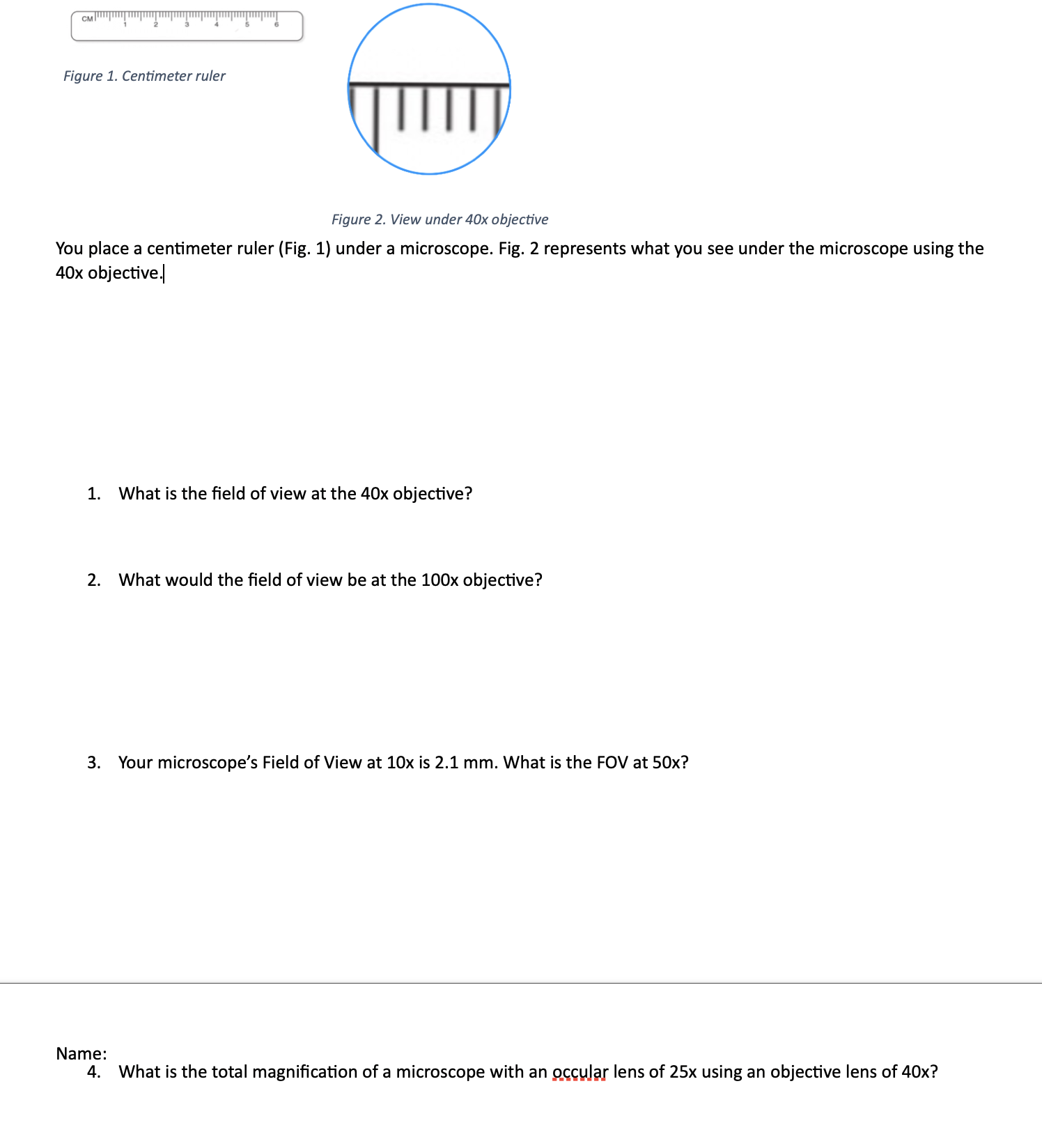 Solved Figure 1. Centimeter ruler Figure 2. View under 40x | Chegg.com
