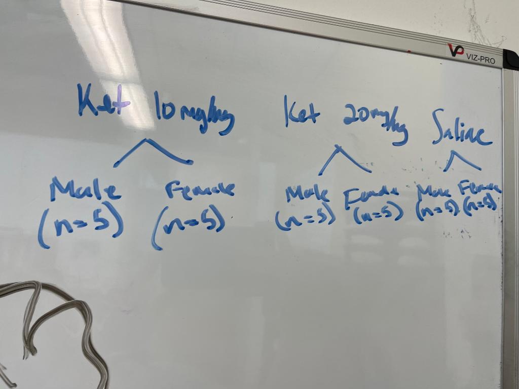 WHAT STATISTICAL TEST SHOULD I USE TO COMPARE 3 GROUPS visual data 8