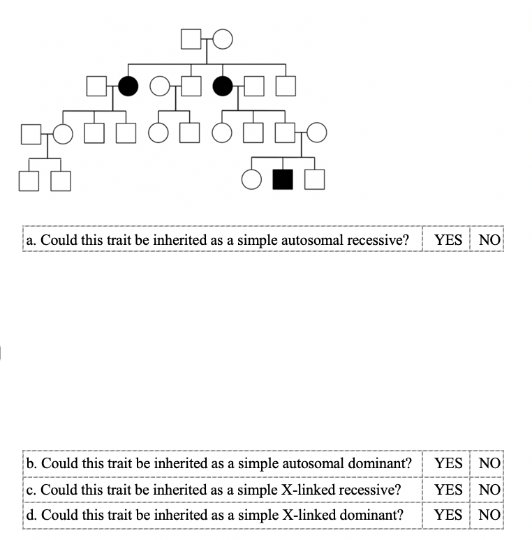 Solved Genetics Question Answer ALL the yes/no questions (4) | Chegg.com