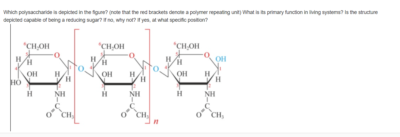 Solved Which Polysaccharide Is Depicted In The Figure? (note | Chegg.com