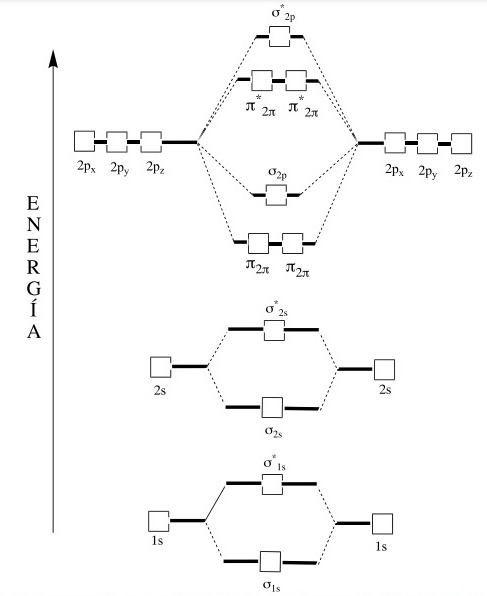 Solved Develop The Molecular Orbital Diagram For The No Chegg Com